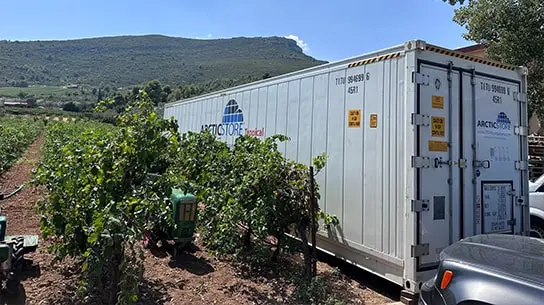 Ψυχρή αποθήκευση ArcticStore για οινοποιεία στην Ελλάδα – Ψυχόμενα εμπορευματοκιβώτια