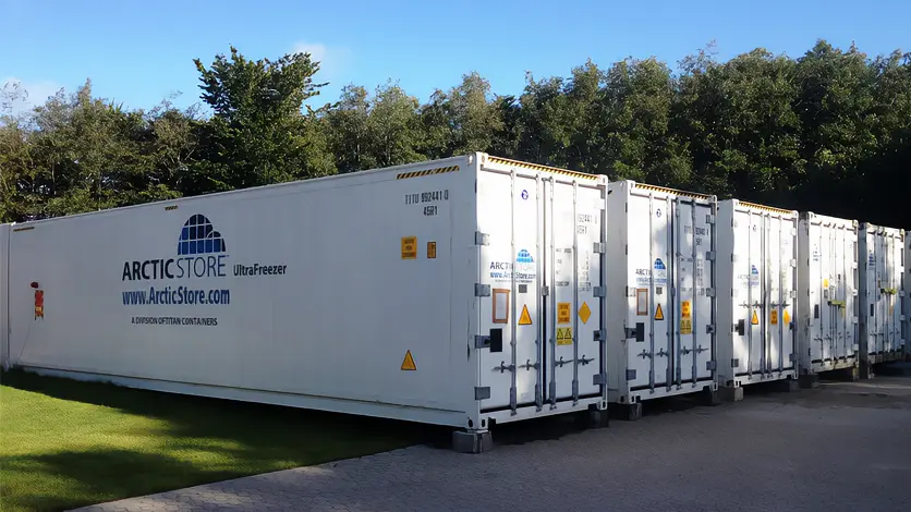 Ψυχρή αποθήκευση Arctic Ultrafreezer πολύ χαμηλής θερμοκρασίας για τον βιομηχανικό τομέα