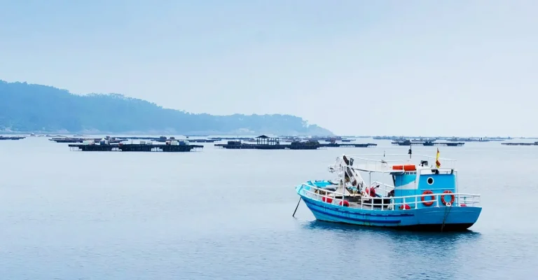  Έρευνα για τον τόνο